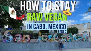 How To Stay Raw Vegan In Cabo, Mexico 🇲🇽  | Part 02