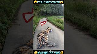 কুকুরের প্র্যাঙ্ক সাথে করবে 😮 #shorts