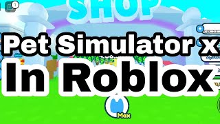 My First Video Of This Roblox Game | Pet Simulator X