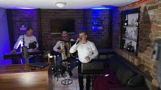 Gogy band - Ne ide vino bez harmonike live (cover)