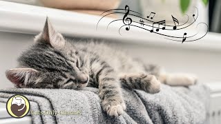 Cat Music - Relaxing Piano Music, Cat Purring Sounds, Sleep Music, Stress Relief