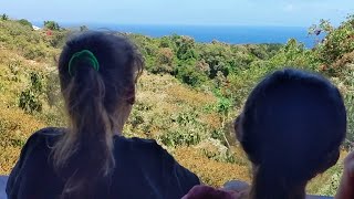 Roatan Spring Update