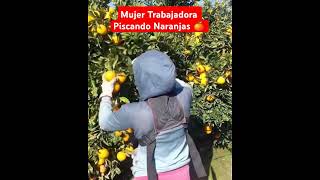 Mujer Trabajadora Pizcando Naranjas 🍊  #agricultura #campo #farming #parati #shortsviral #parati