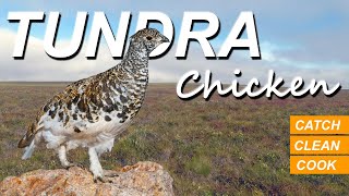 Alaska Ptarmigan | Wild Tundra Chicken {Catch Clean Cook}