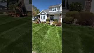 BEST lawn mowing stripes | #lawncarebusiness #lawn #lawnmowing #construction #grassmowing #mow #vlog