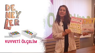 Kuvveti Ölçelim Deneyini Yapıyoruz - Deneyelim Keşfedelim - Okul Öncesi Eğitim