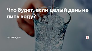 Что будет, если не пить воду целый день