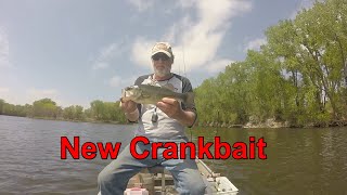 New crankbait