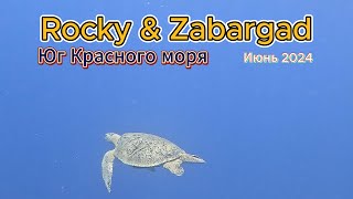 Роки и Забаргад (Rocky and Zabargad) Юг Красного моря Июнь 2024