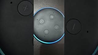 echo dot vs echo flex review #shorts