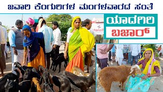 Yadagiri sheep and goats market - Every Tuesday