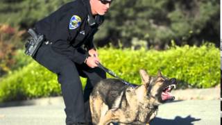 Fremont Police Department Recruitment Video