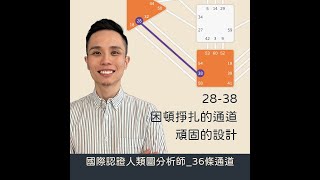 人類圖｜短影片｜28-38困頓掙扎的通道/頑固的設計！#shorts #人類圖 #36條通道 #困頓掙扎的通道 #頑固的設計