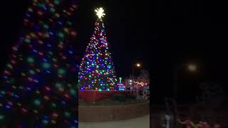 Barboursville WV Christmas Tree Lighting