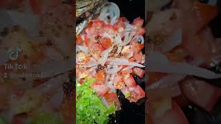 #food #foodie #cooking #shortsyoutube #fish #shortvideo #shortsviral #shorts #short#subscribe #short