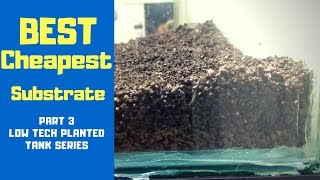 Best Cheapest Substrate | Low Tech Planted Tank Series | Part 3