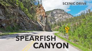 Scenic Drive through Spearfish Canyon, South Dakota's Hidden Gem