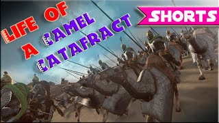 Life of a Camel Cataphract! From Tournament gameplay - MVP unit! Total War Rome 2 #shorts -571 kills