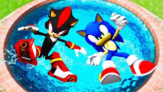 GTA 5 Water Ragdolls Sonic vs Shadow Jumps/Fails Ep.4 (Funny Moments)