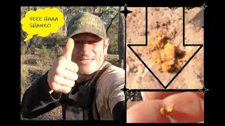 TALBOT GOLD NUGGETS (YEEE HAAA ShaneO) (Episode 97)