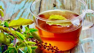 5 Incredible Reasons To Drink Holy Basil Tea (Tulsi)