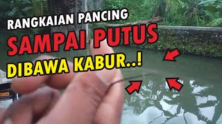 Mancing Wader Di Sungai Air Keruh Sehabis Banjir Pancingku Di Gondol Ikan Misterius  Sampai Putus