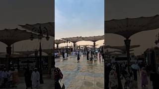 Rab ko dekha hay Meray Nabi Nay| Ab kahin dil nahi lag raha hy Taiba janay ko dil ro raha hay#madina