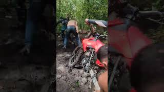 #offroad #crf #2rodas #braap #crf230 #shortvideo #roia #trilheirosdobrasil #motorcycle