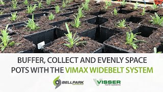 Visser ViMax Wide Belt