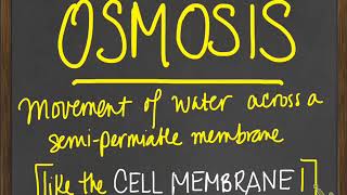 bio cells and passive transport