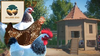 Chick, Chick, Chickens - HILLSIDE ZOO 07 - Planet Zoo