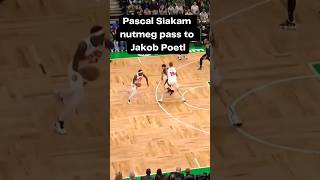 Pascal Siakam nutmeg pass to Jakob Poeltl !! #pascalsiakam #torontoraptors #nba #shorts