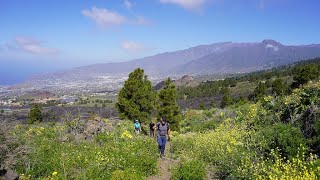 Frühlingswanderung auf La Palma - Von San Nicolás zum Vulkan San Juan