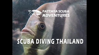 Scuba Diving Thailand With Pattaya Scuba Adventures