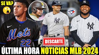 JUAN SOTO ABANDONA a los YANKEES? VLADDY JR a los YANKEES? JASSON DOMINGUEZ DESCARTADO! ARRAEZ! MLB!