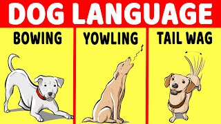 15 ways to Understand Your Dog (Dog Language Explained)