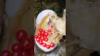 Pearls in Oyster || #short #shortvideo #gemstone #quartz #shorts #stone