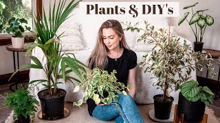 NEW Houseplants Haul & Office Makeover + Cute DIY Home Decor Hacks  // NZ Moving Vlog