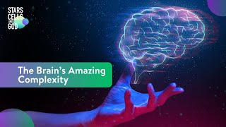 The Brain’s Amazing Complexity | Fazale "Fuz" Rana and Uditha Jayatunga