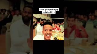 Videogi uguhoreyey e koko lagadube 2019 in MALAYSIA