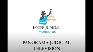 ⚖ 📺 Panorama Judicial TV-278-Día Internacional de la Eliminación de la Violencia contra La Mujer II