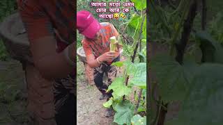 শশা চুরি #funny #shorts #funnyvideo #youtubeshorts