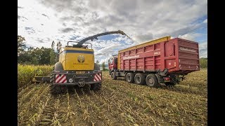 Siláže 2017 - New Holland FR780 + Tatra Phonix 8x6 T158 AgroTruck + Schuitemaker Siwa 660