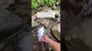 What waterfalls look like in the French Alps #france #chamonix #shorts