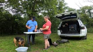 Dispersed camping kitchen setup