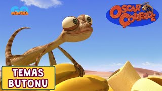 Oscar Çöllerde 🦎 | Temas Butonu | Minika