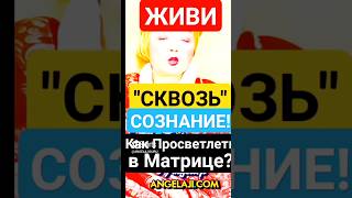 ЖИВИ сквозь СОЗНАНИЕ! Как Просветлеть в Матрице? #shorts #духовность #эзотерика #я #самопознание