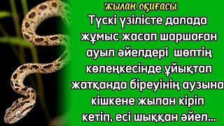 Алаңсыз ұйықтап жатқан әйелдің аузына кішкене жылан кірді де кетті