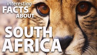 Interesting facts about South Africa