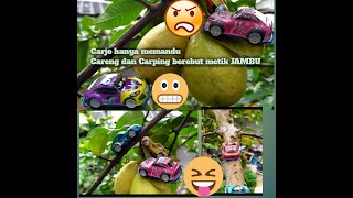 Cars petik JAMBU